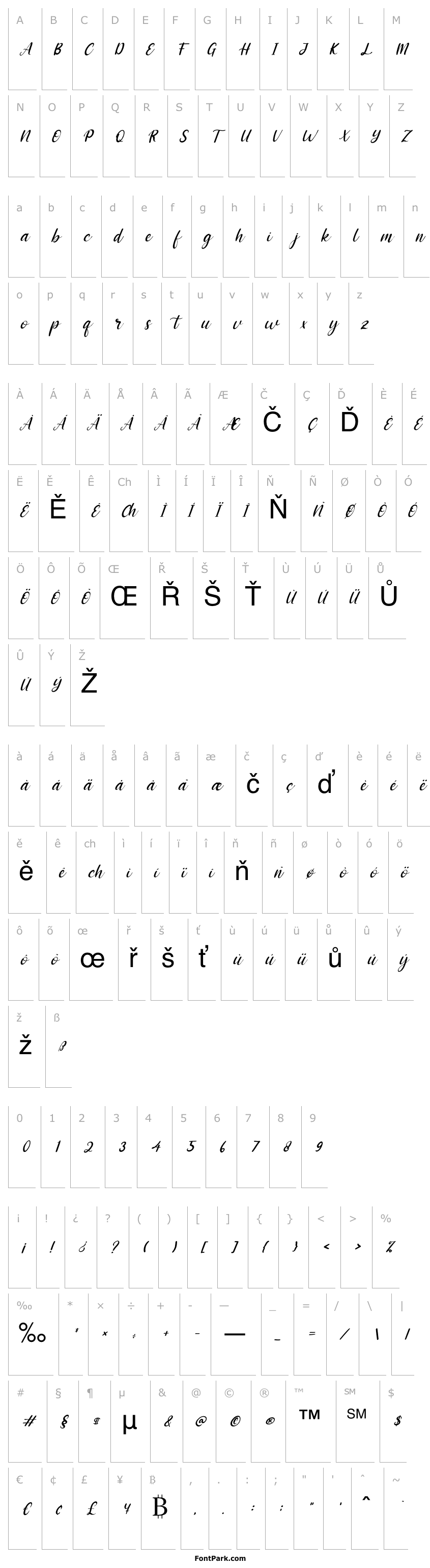 Přehled Adriana Italic