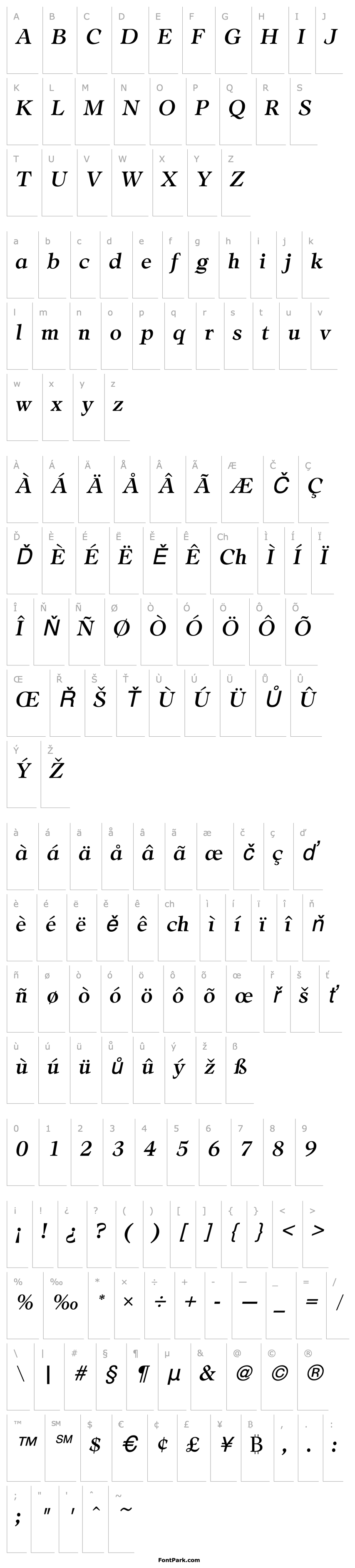 Přehled AdroitURWTMed Italic