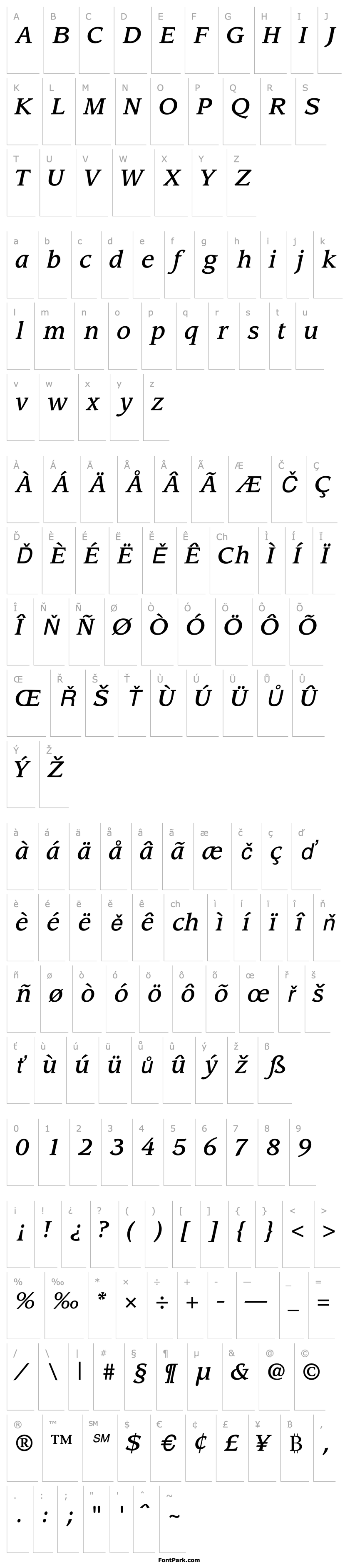 Overview AdvisorMediumSSK Italic