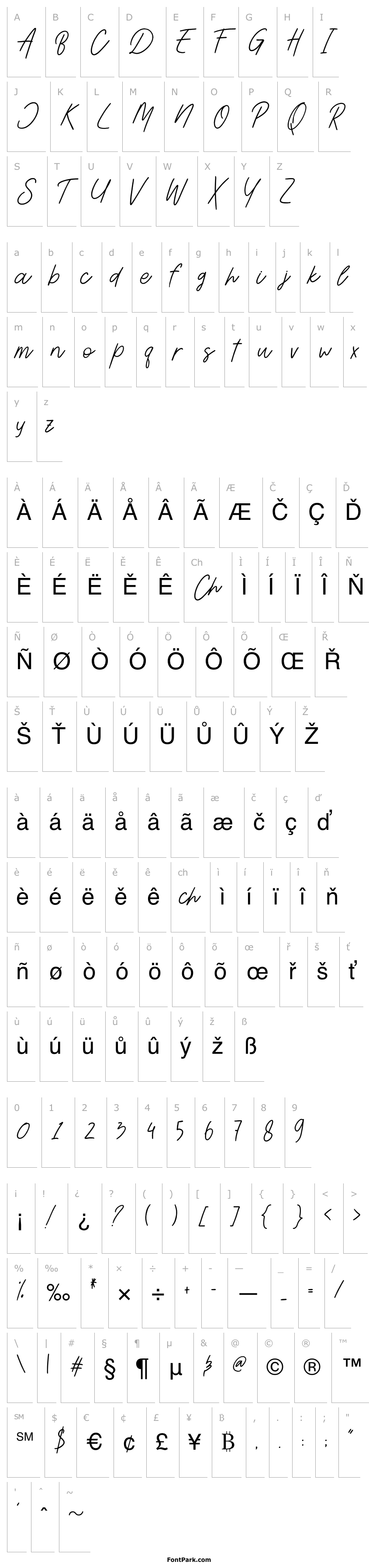 Přehled Aesthetik Script