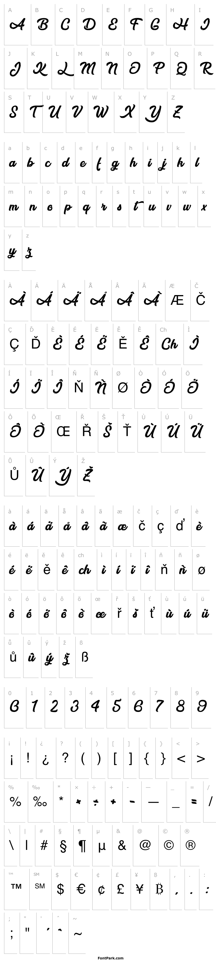 Přehled After Night