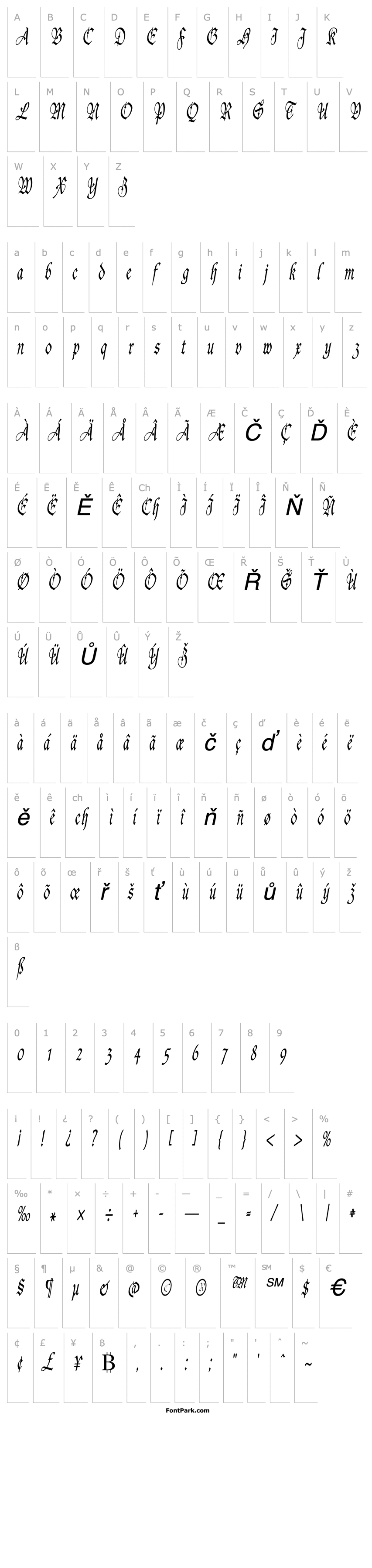 Přehled AgincortCondensed Italic