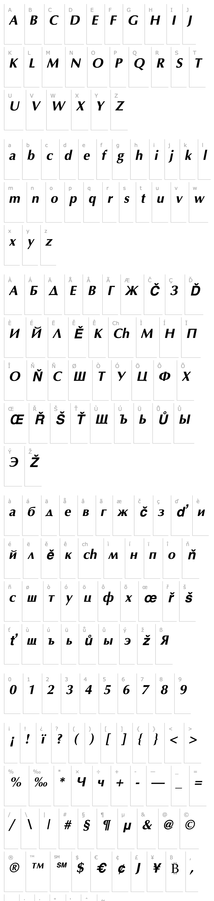 Overview AGOpus Bold Oblique