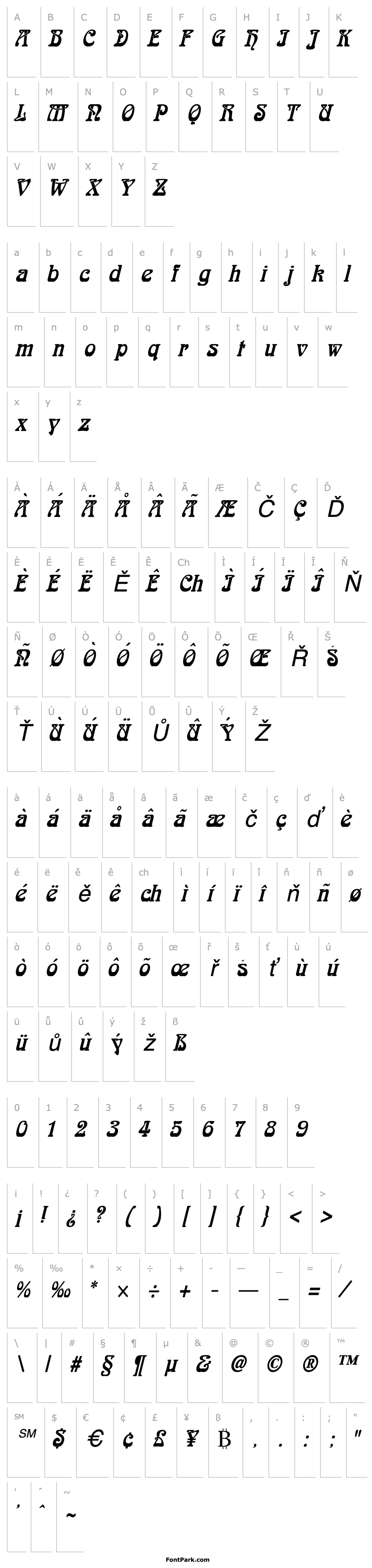 Přehled Aidan Thin Italic