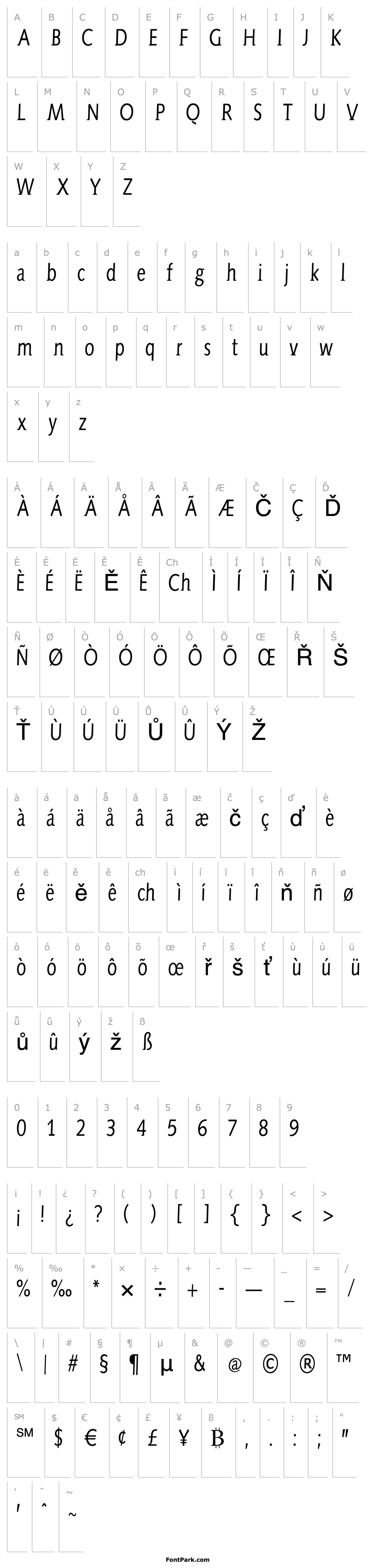 Overview AidaSerifa-Condensed