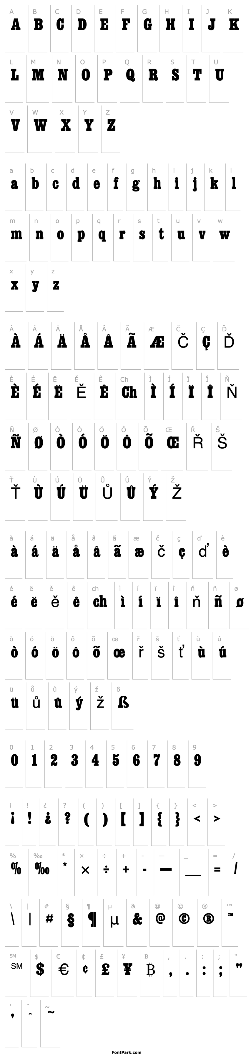 Overview AIEgyptianConBolSma