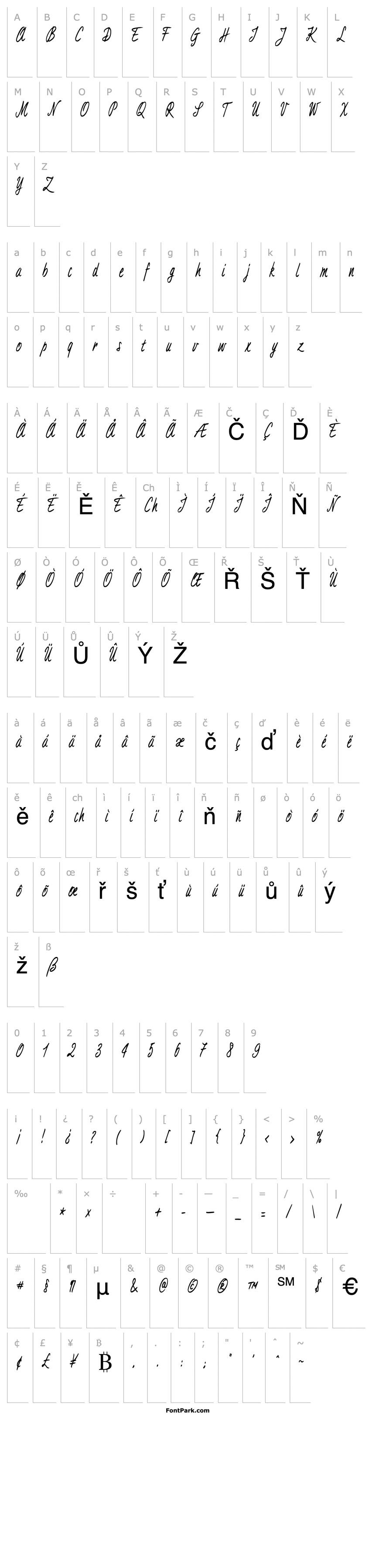 Overview AimeeCondensed