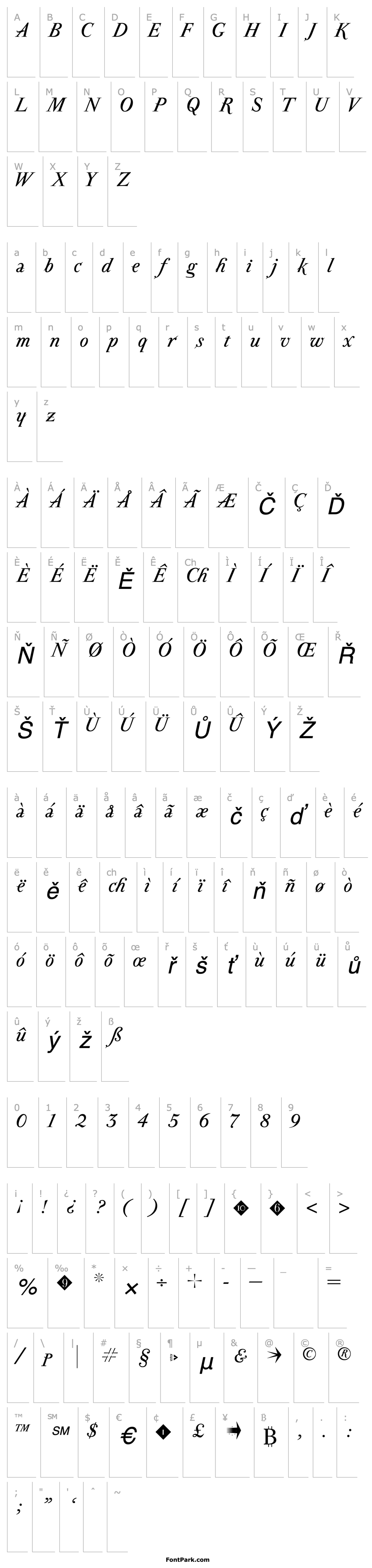 Overview AIParmaPetit-Italic