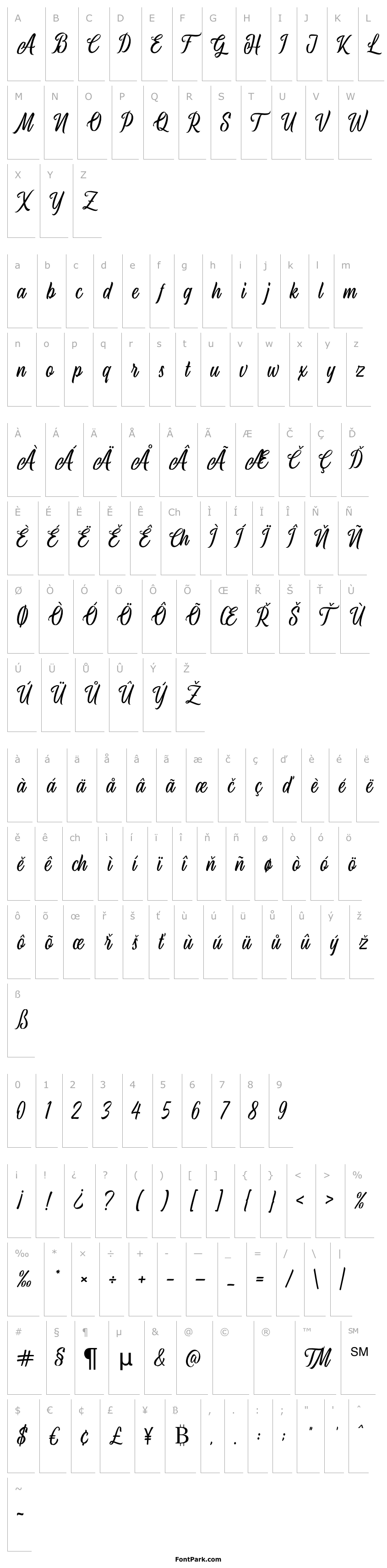 Overview AirplaneScript