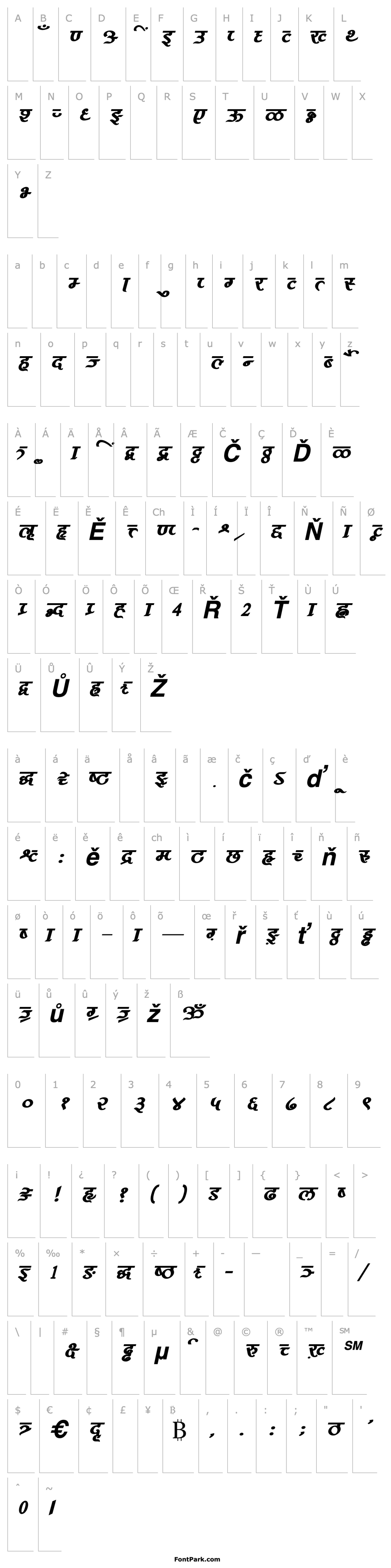 Overview AkrutiDevPoojaBoldItalic