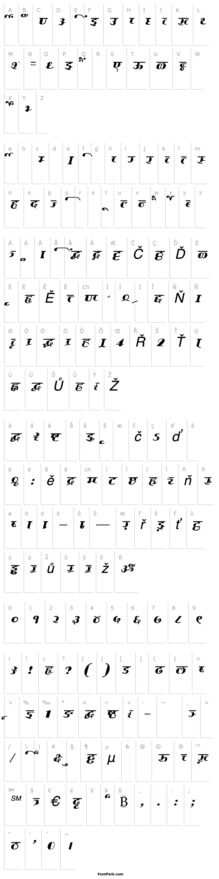 Přehled AkrutiDevPrakashItalic