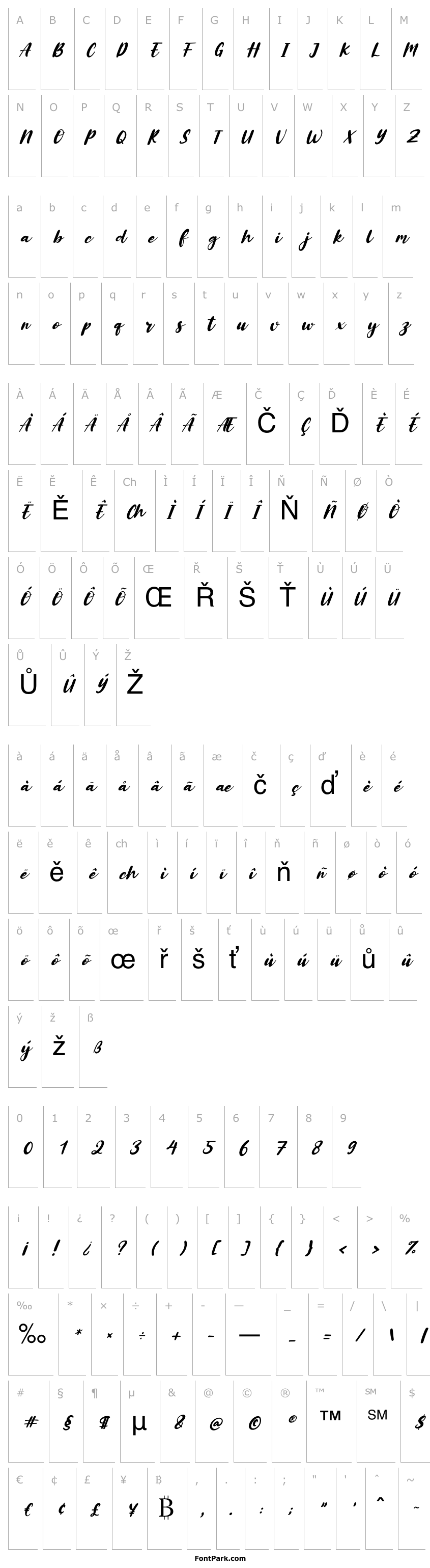 Přehled Alberteen Italic