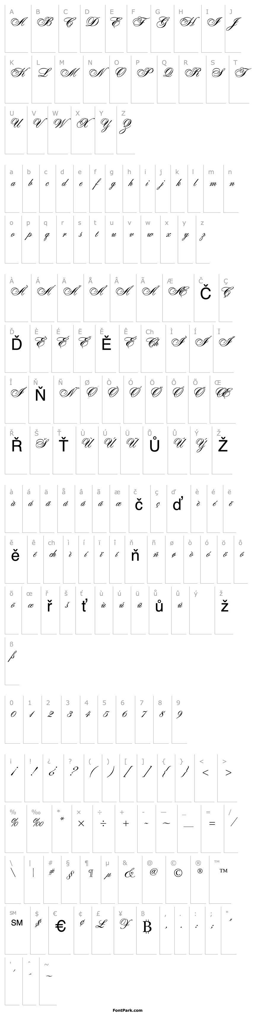 Overview Alexandra Script Normal