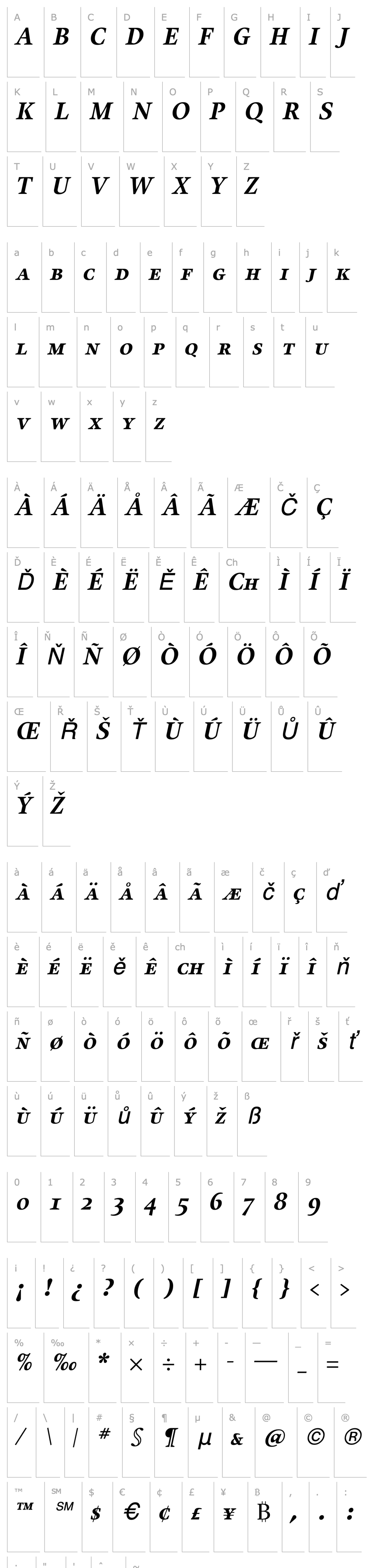 Overview Alias UnionBold Italic SC