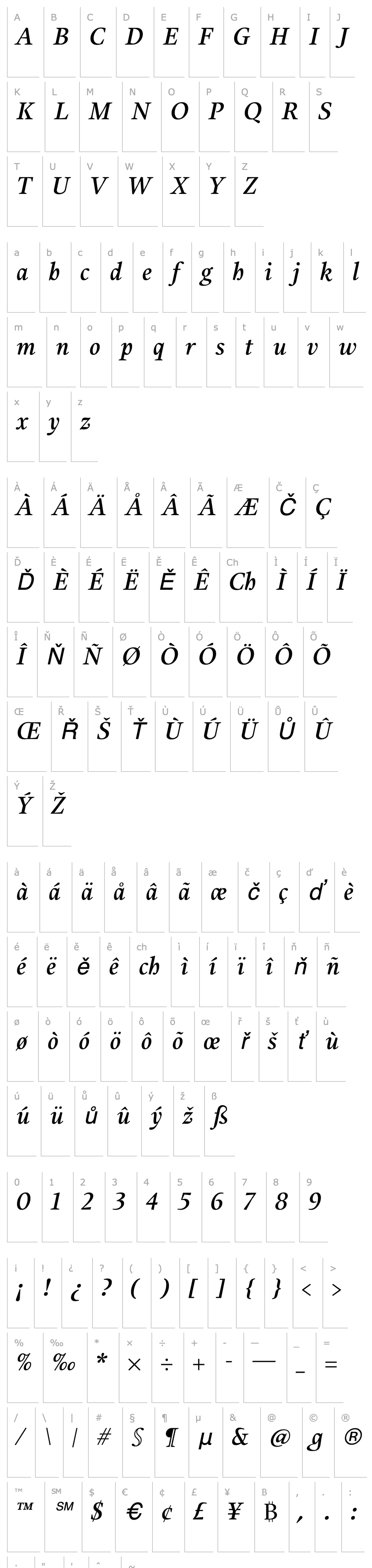 Overview Alias UnionMedium Italic