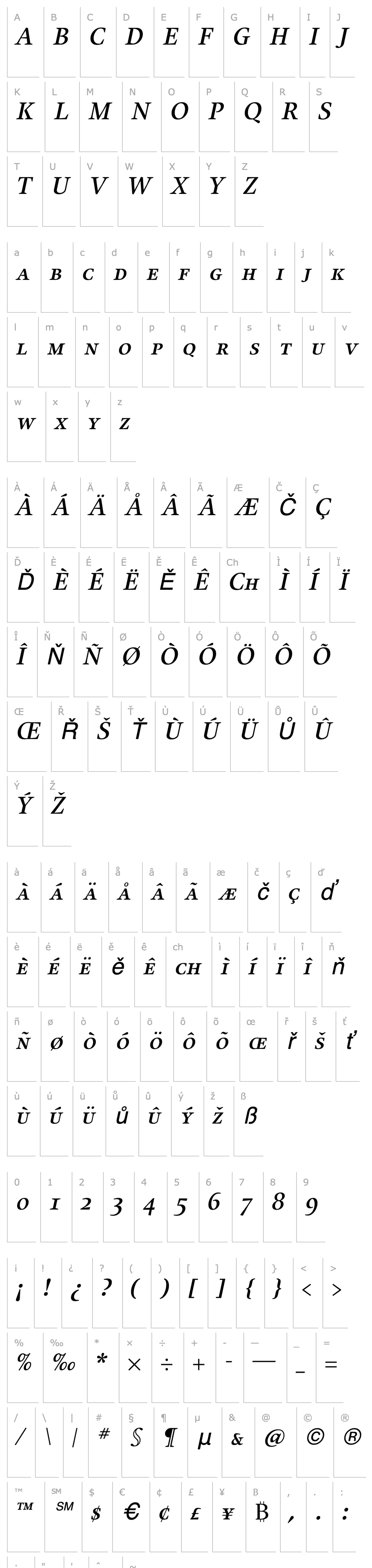 Přehled Alias UnionSC Medium Italic