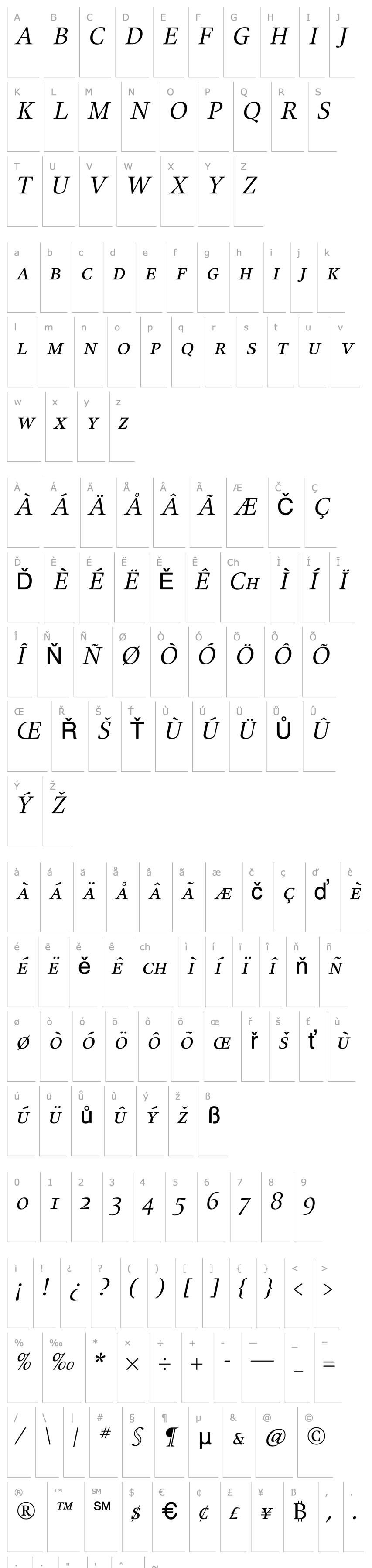 Přehled Alias UnionSC Regular Italic