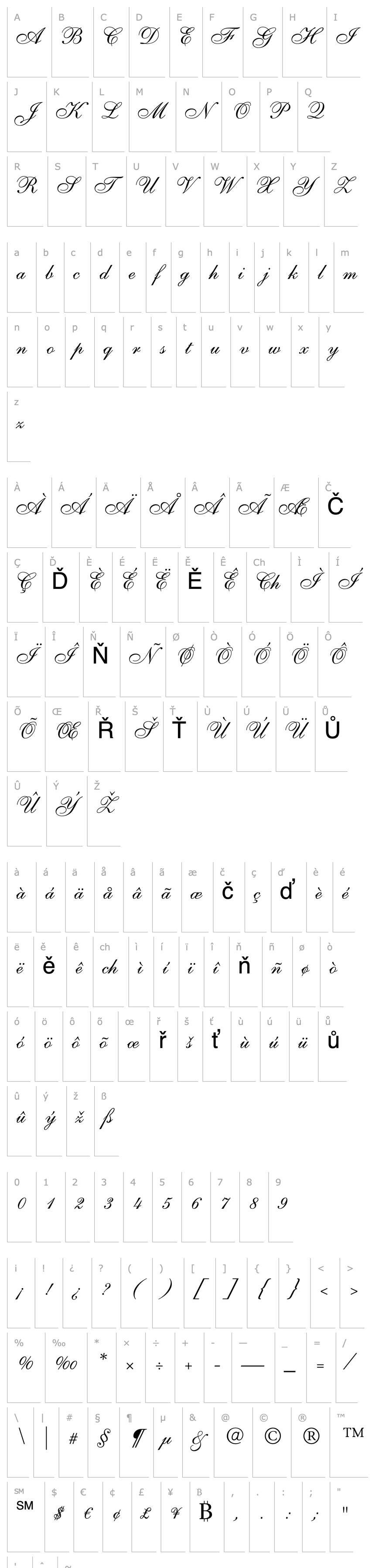 Overview Allegretto Script One