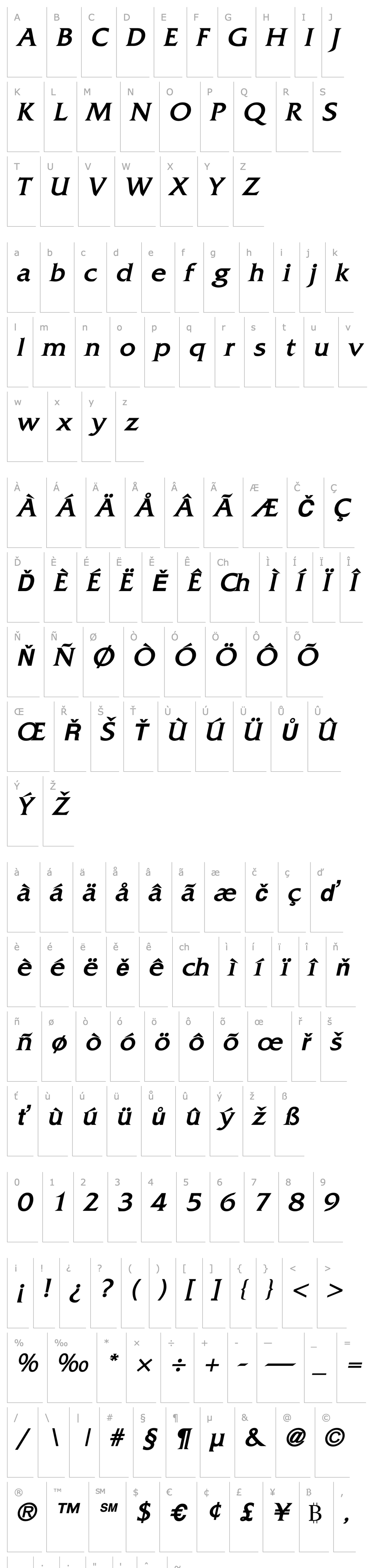 Overview Alliance BlackItalic