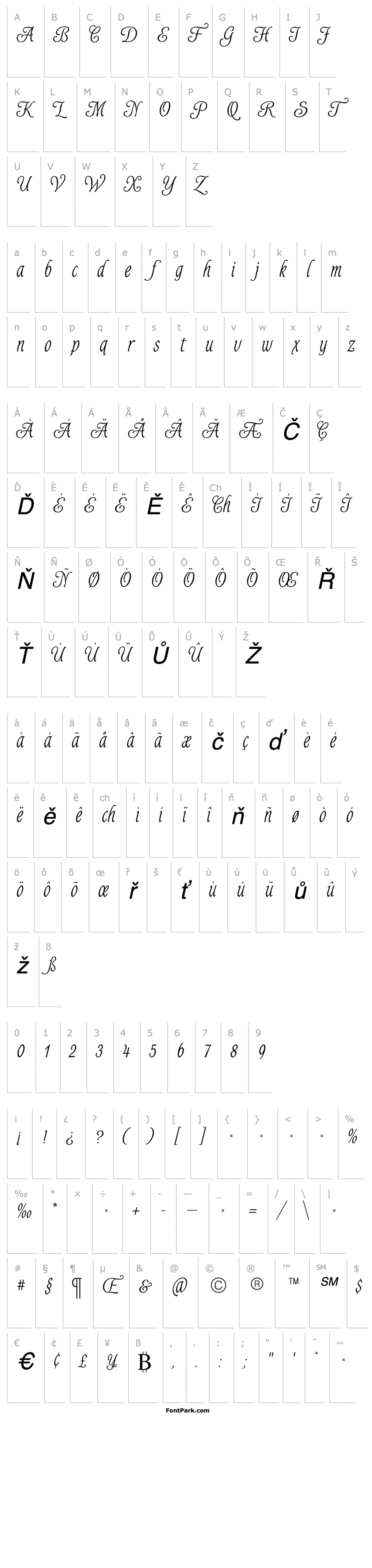 Overview Alys Script Light