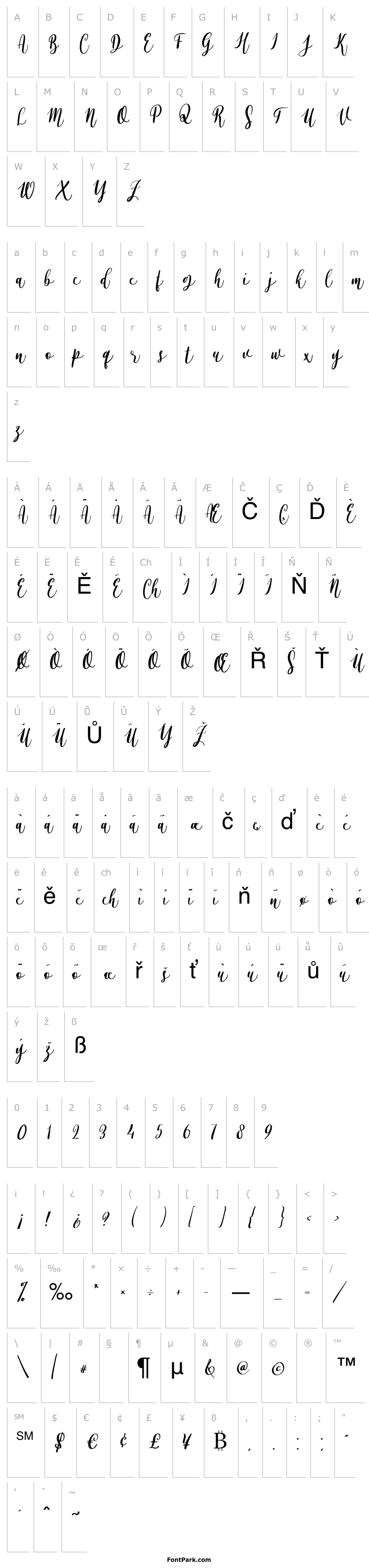 Přehled Alyssa Calligraphy Regular