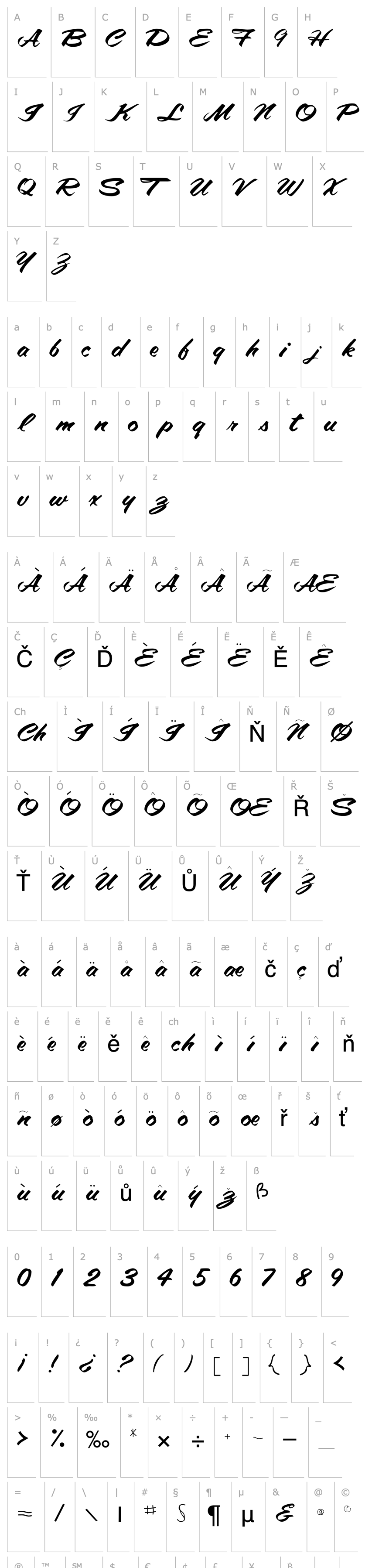 Overview Amalie Script