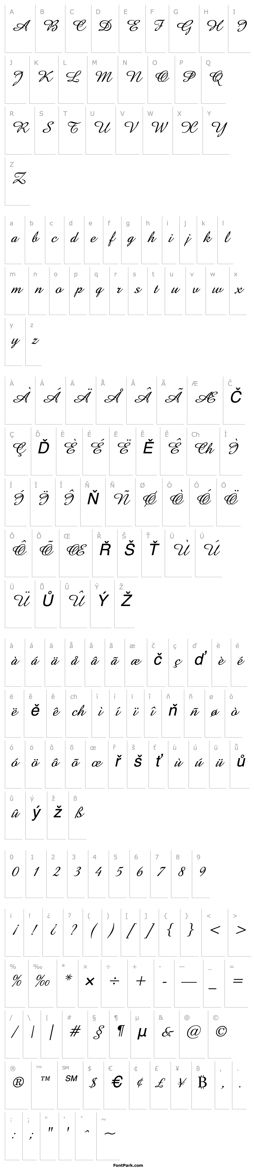 Overview Amaze D Italic