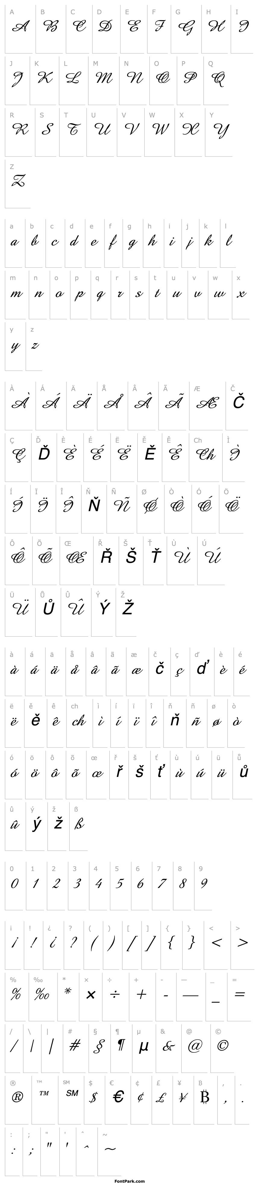 Přehled Amaze Italic