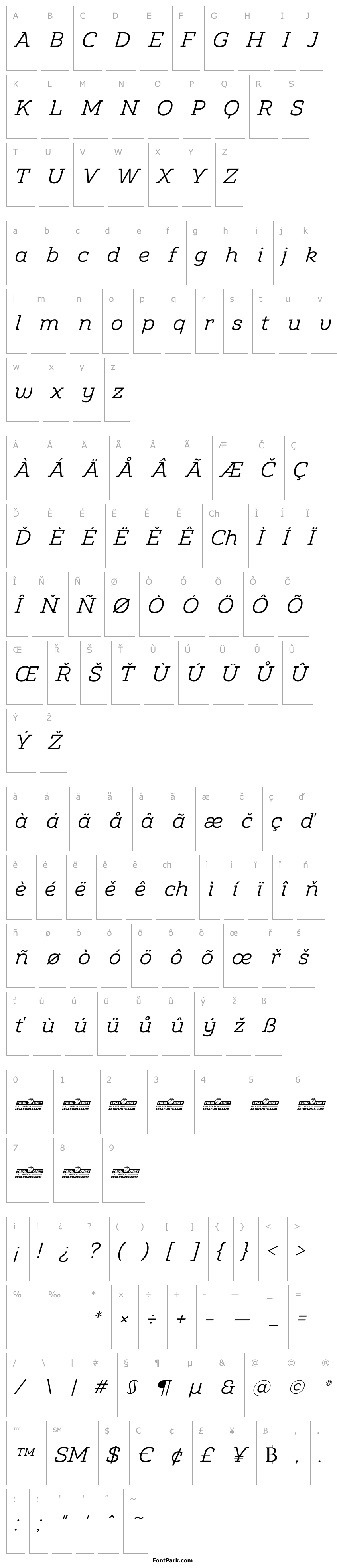 Overview Amazing Slab Trial Italic
