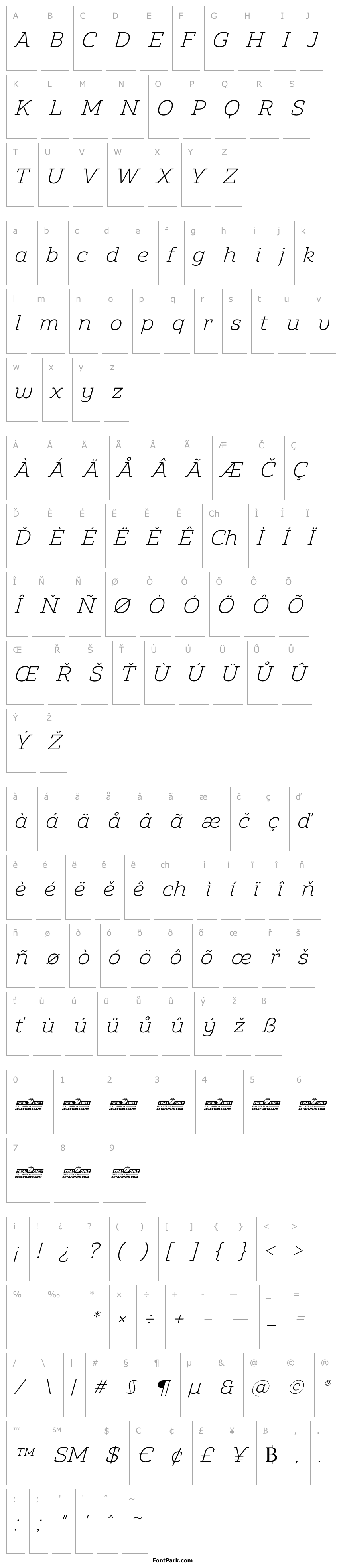 Overview Amazing Slab Trial Light Italic