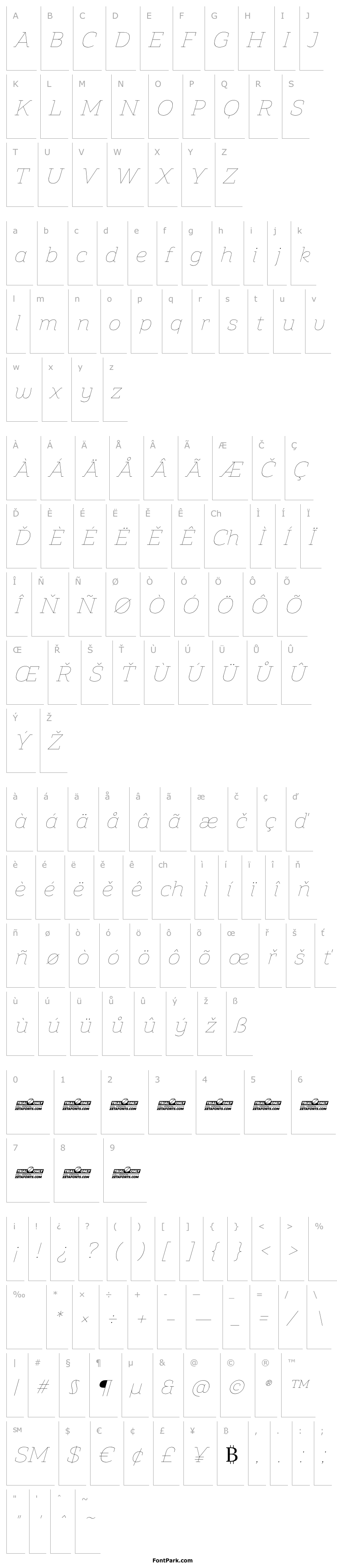 Overview Amazing Slab Trial Thin Italic