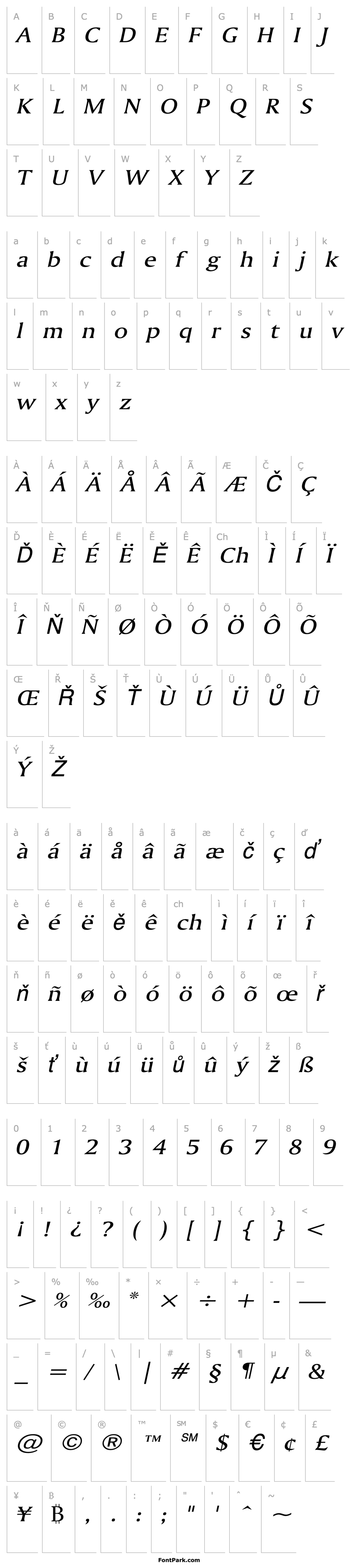 Overview Ameretto Wide Italic