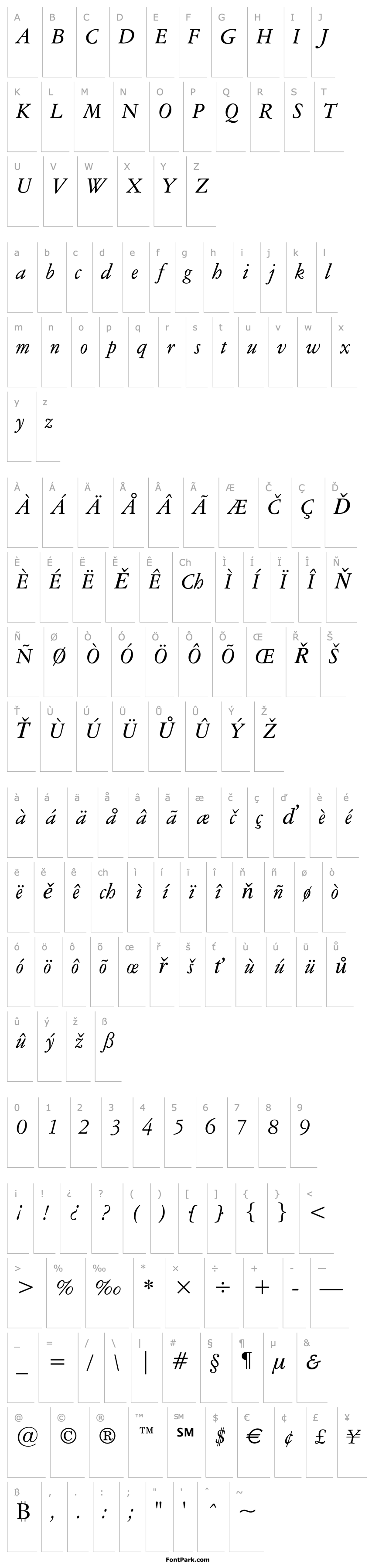 Overview American Garamond Italic BT