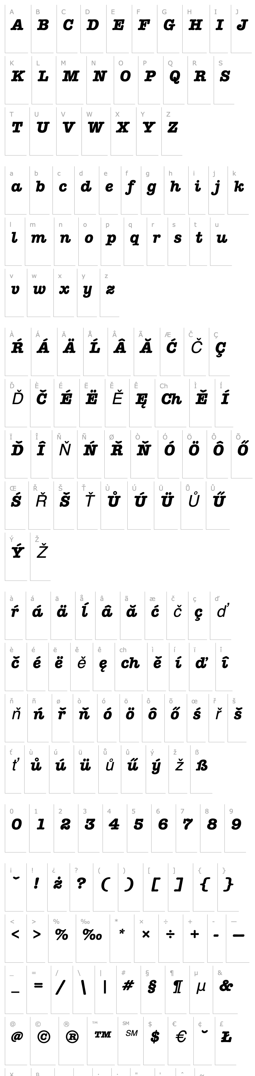 Overview AmericanTypItcTEEBol Italic