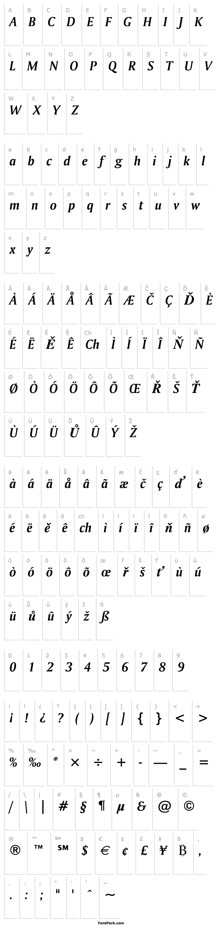 Přehled Amerigo Bold Italic BT