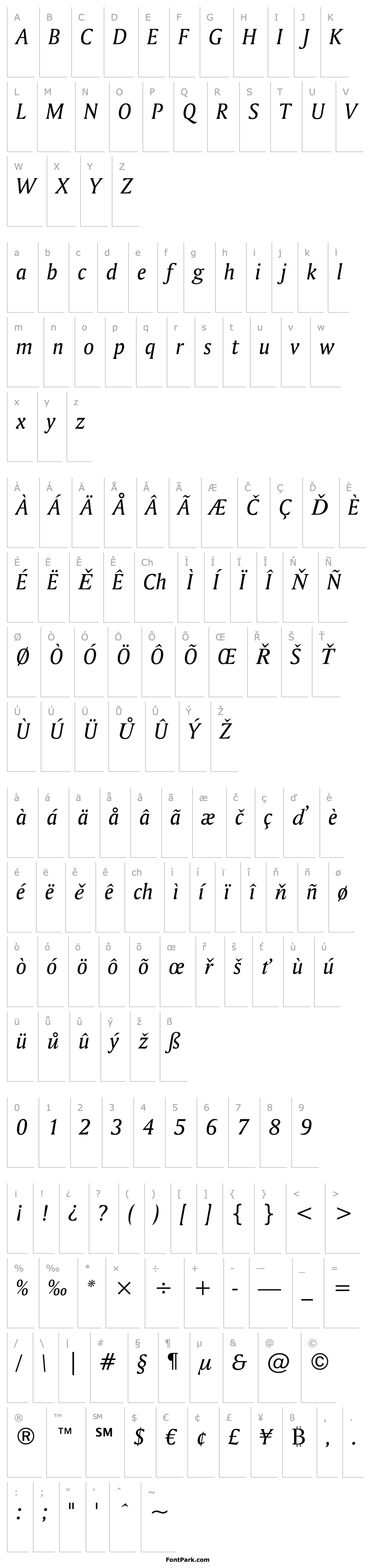 Přehled Amerigo BT Italic