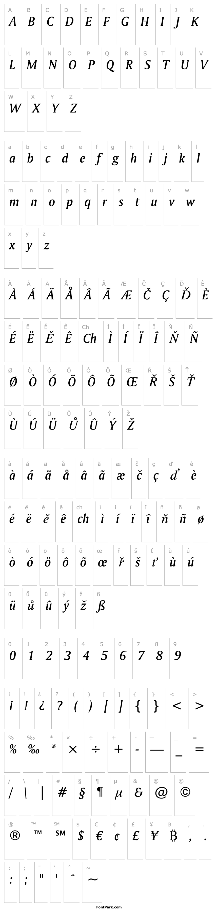 Overview Amerigo Md BT Medium Italic