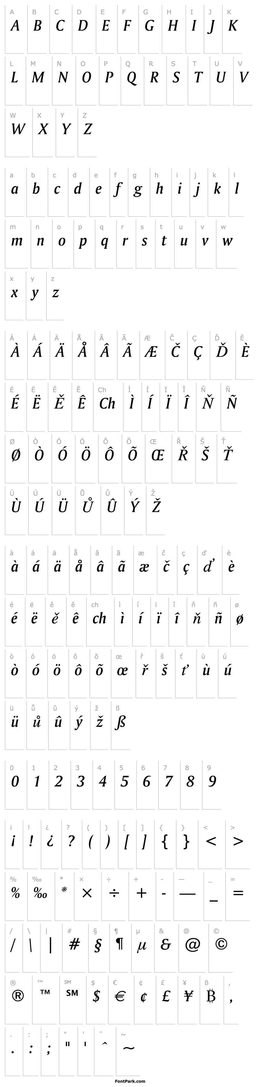 Přehled Amerigo Medium Italic BT