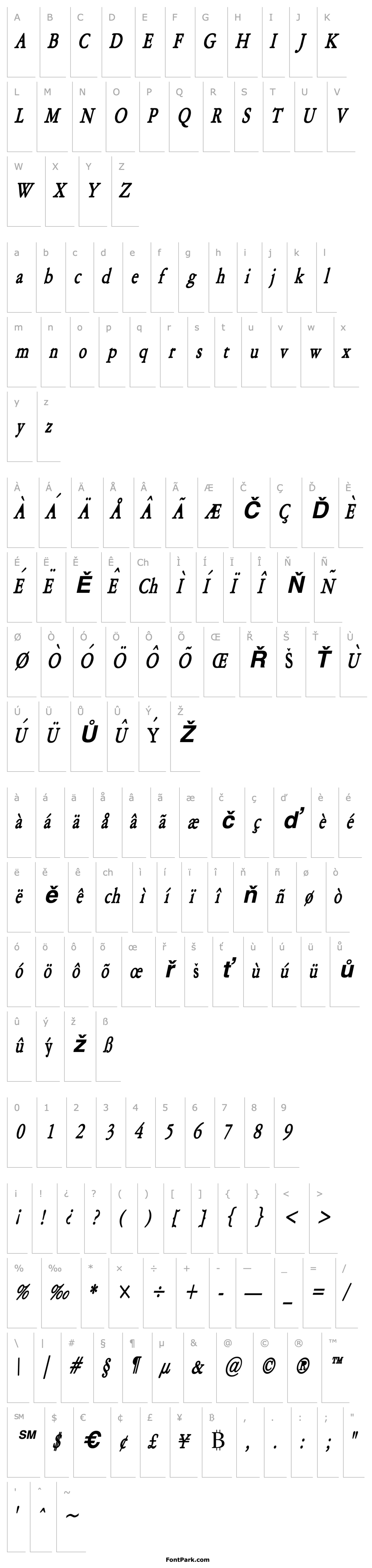 Overview Amery Condensed BoldItalic