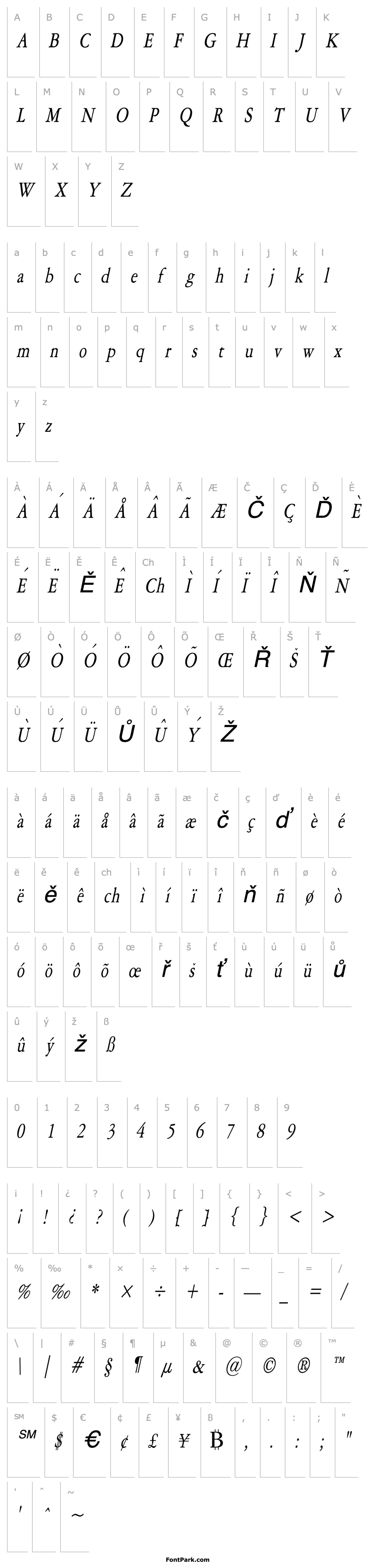 Přehled Amery Condensed Italic