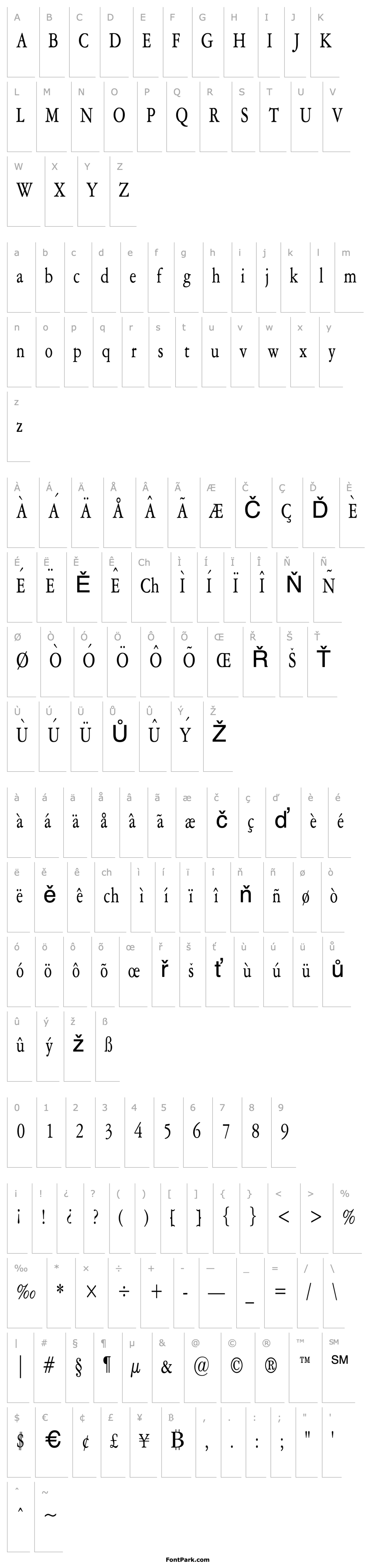 Overview Amery Condensed Normal