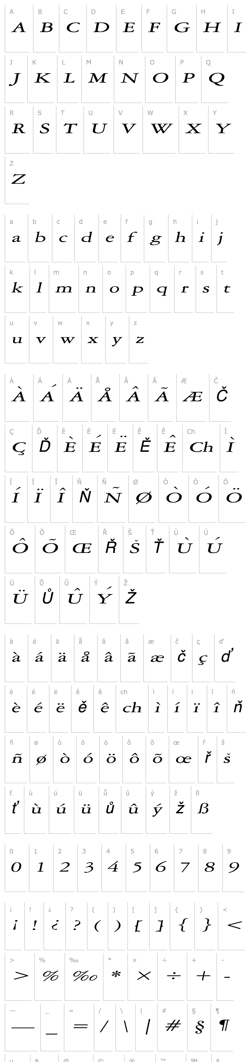 Overview Amery Extended Italic