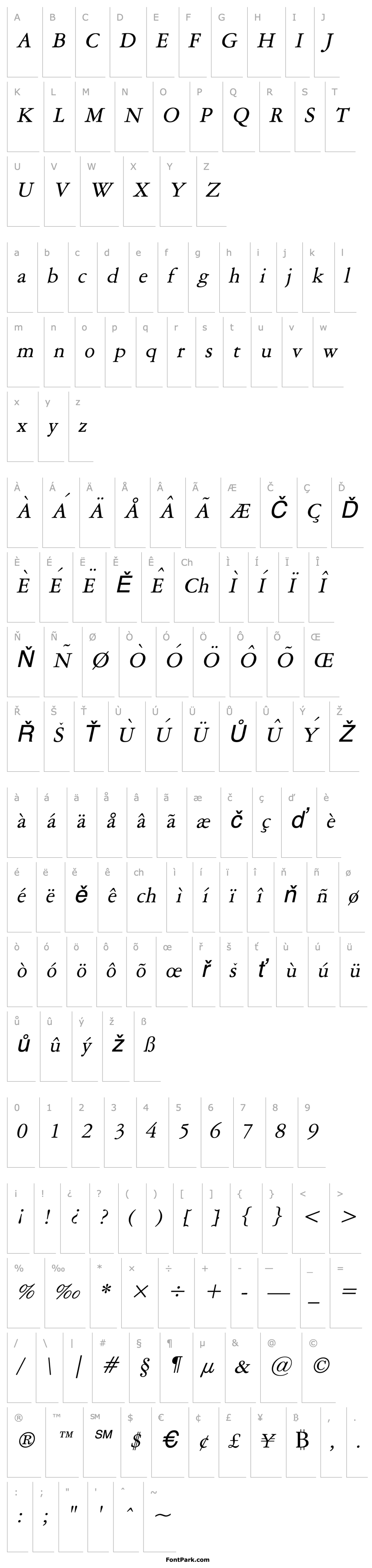 Přehled Amery Italic