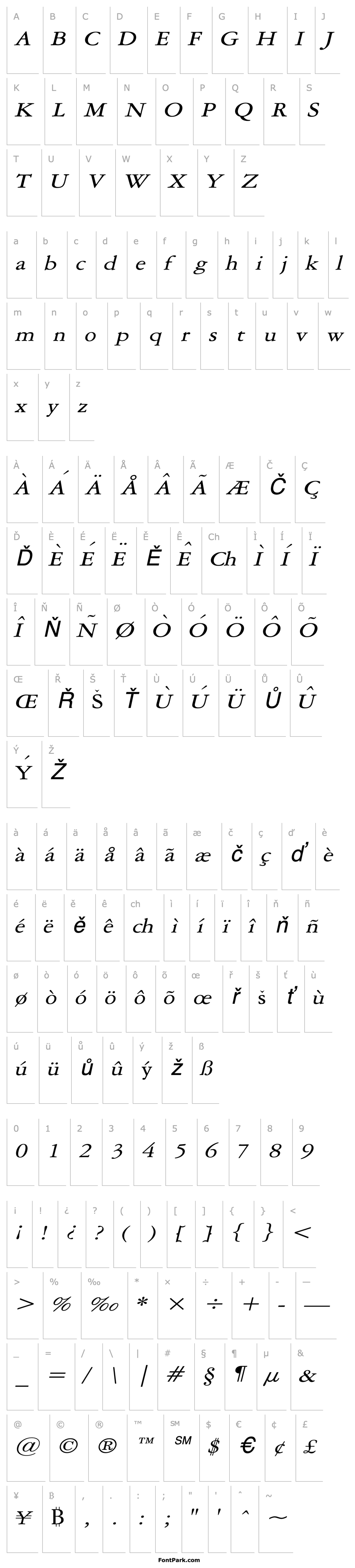 Přehled Amery Wide Italic