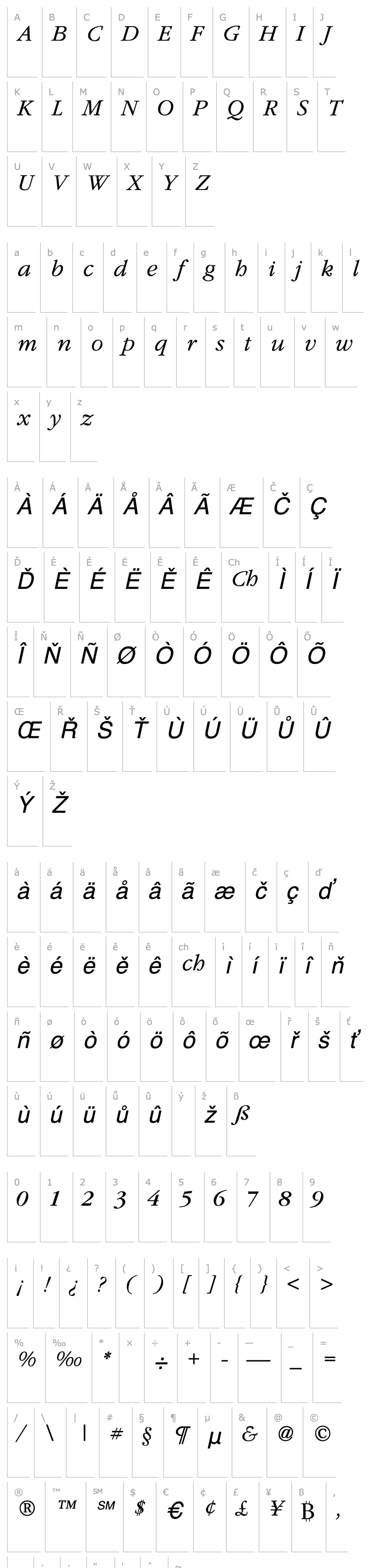 Overview Amethyst Lite Italic 