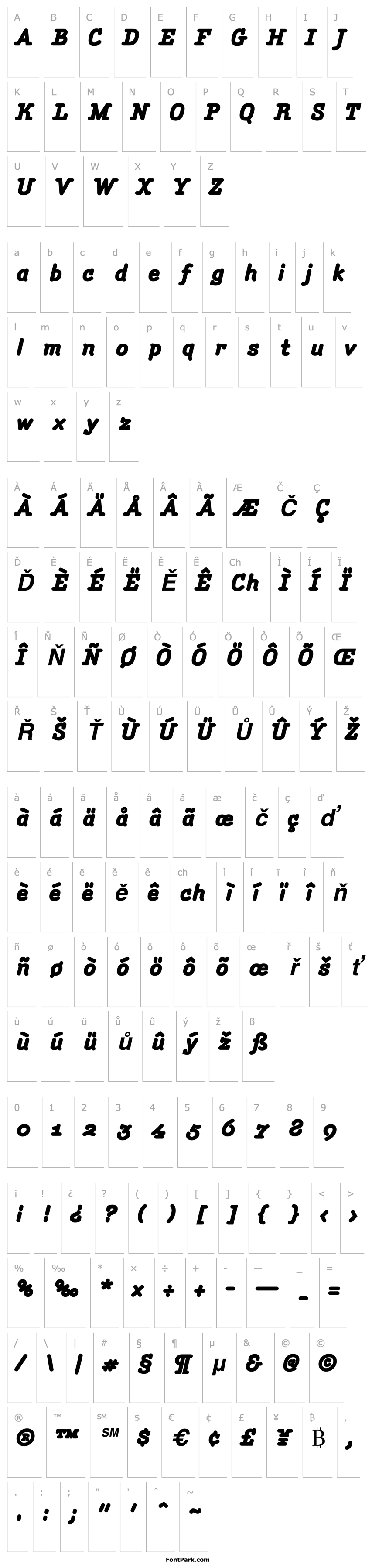 Overview AmintaBlackItalic