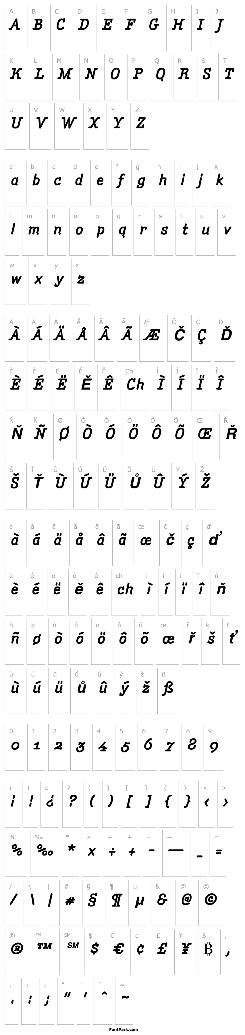 Přehled AmintaBoldItalic