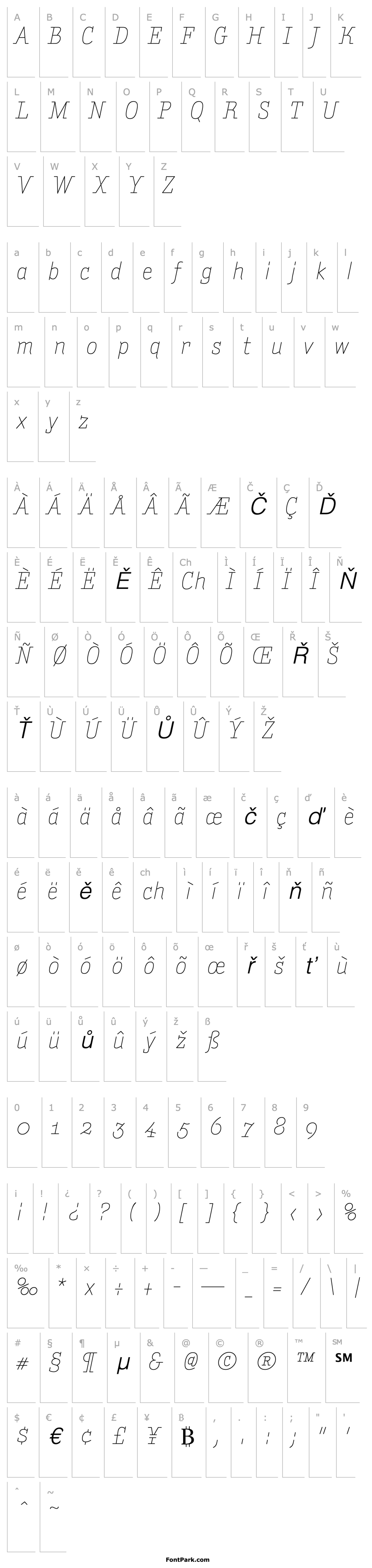 Přehled AmintaLightItalic