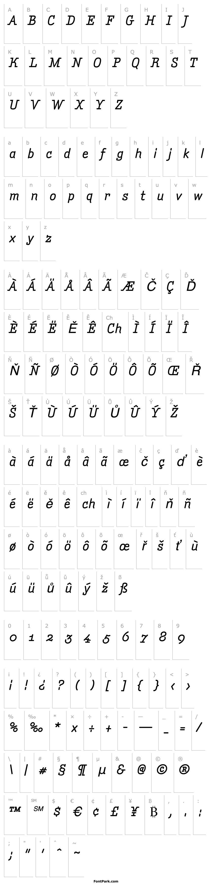 Přehled AmintaMediumItalic