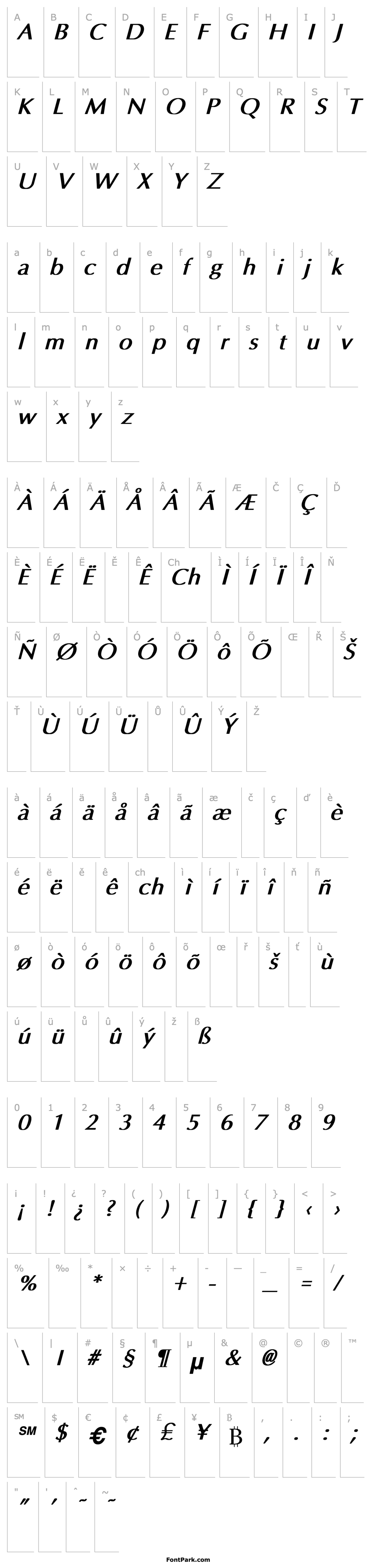 Overview Amsterdam Bold Italic